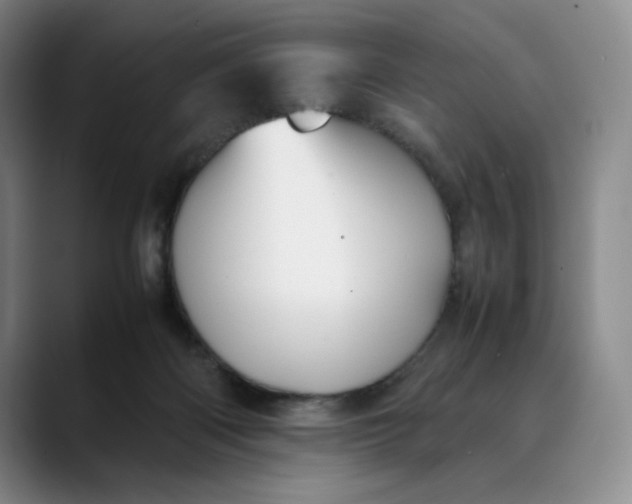 X0000088680122200706141401
