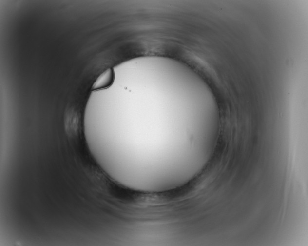 X0000088680123200706141401