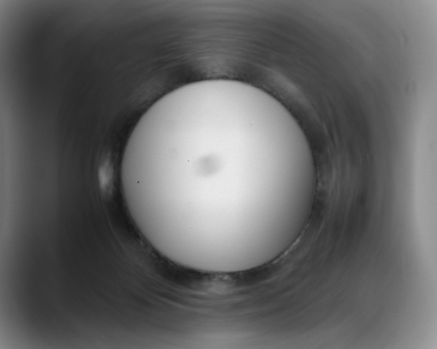 X0000088680124200706141401