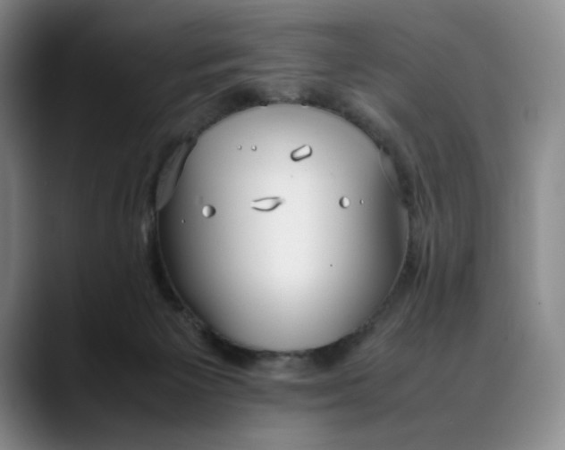 X0000088680125200706141401