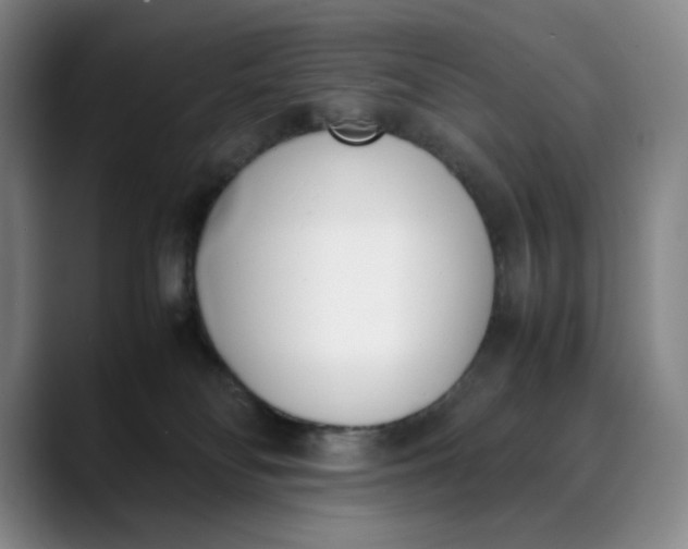 X0000088680134200706141401