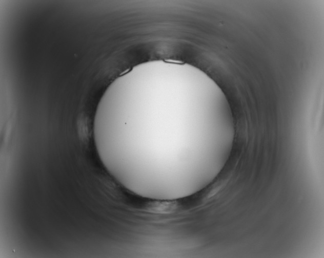 X0000088680135200706141401