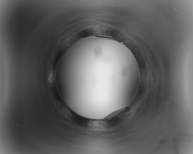 X0000088680137200706141401