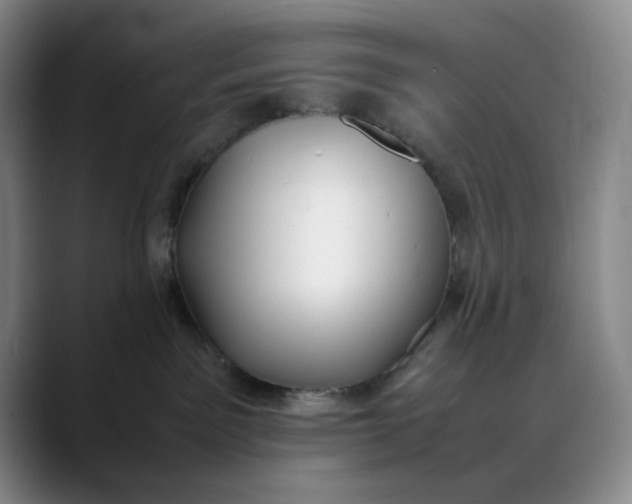 X0000088680141200706141401