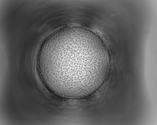 X0000088680145200706141400
