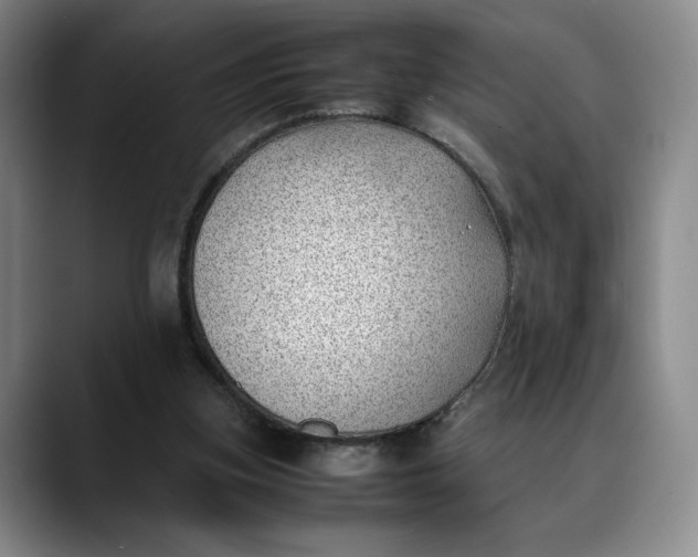 X0000088680155200706141400