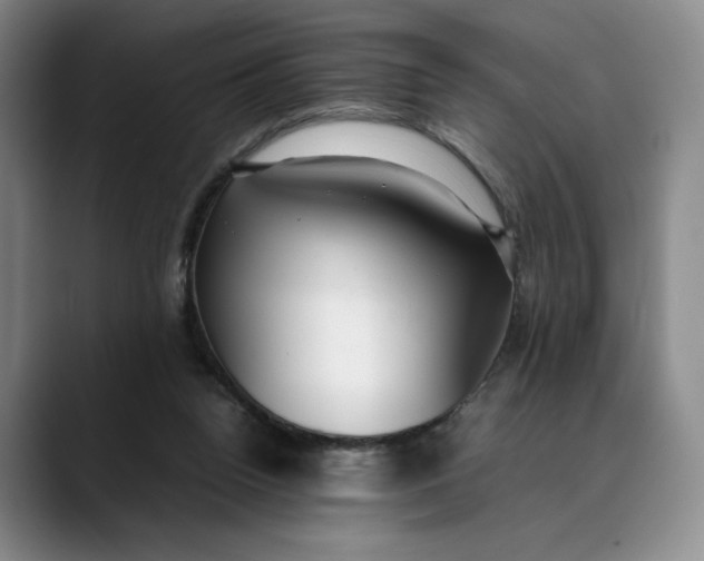 X0000088680160200706141401
