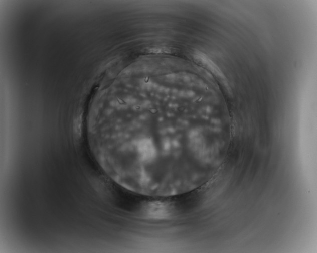 X0000088680163200706141401