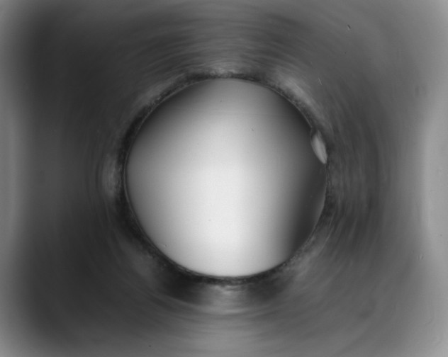 X0000088680164200706141401