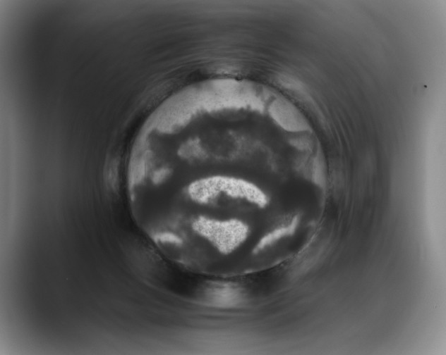 X0000088680167200706141401