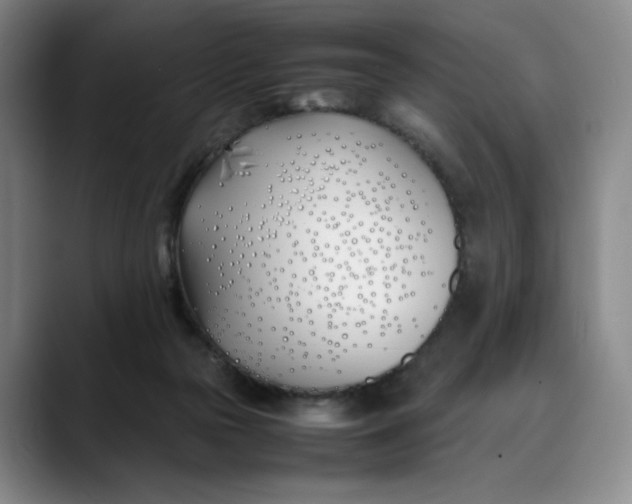 X0000088680169200706141401