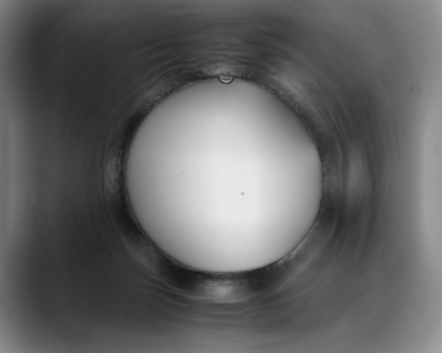 X0000088680171200706141401