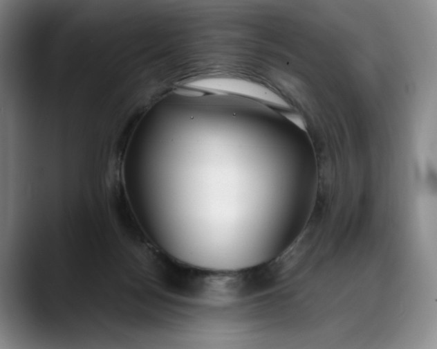 X0000088680172200706141401