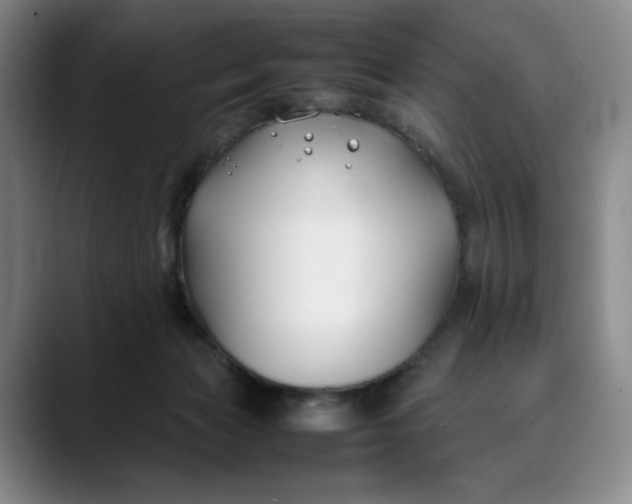 X0000088680173200706141401