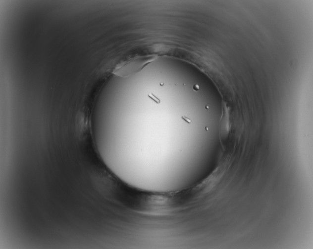 X0000088680176200706141401