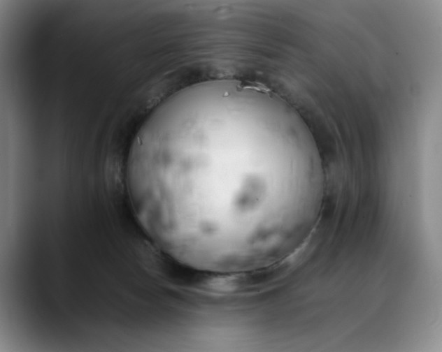X0000088680178200706141401