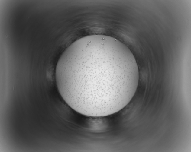X0000088680181200706141401
