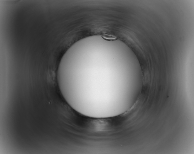 X0000088680183200706141401