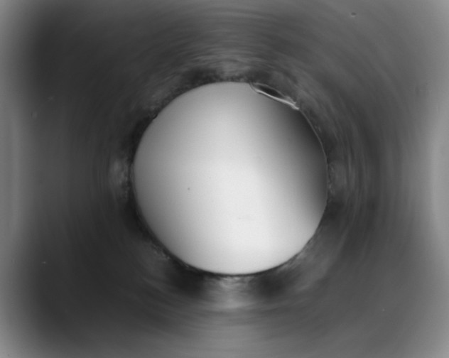 X0000088680184200706141401