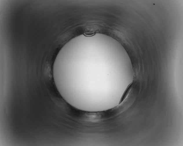 X0000088680187200706141401