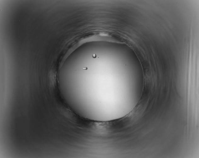 X0000088680188200706141401
