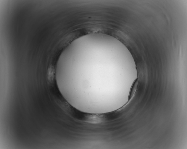 X0000088680191200706141401