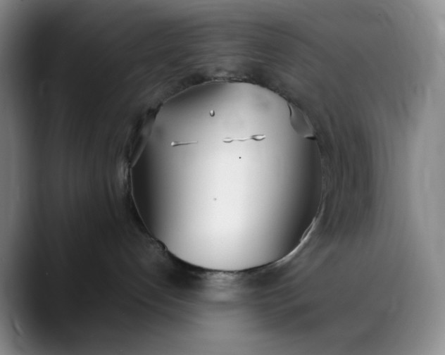 X0000088680192200706141401