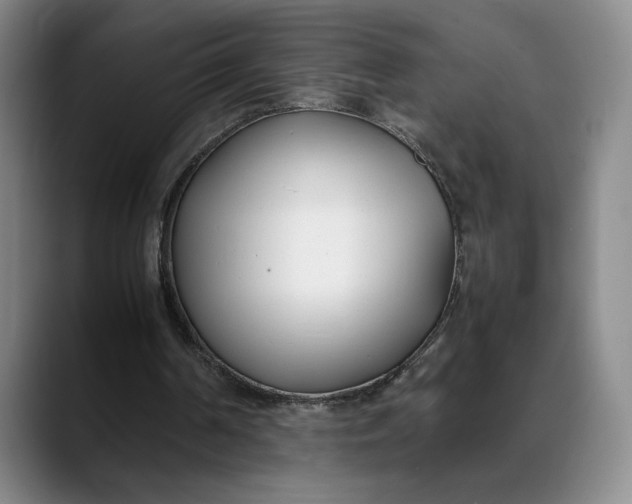 X0000088680194200706141400