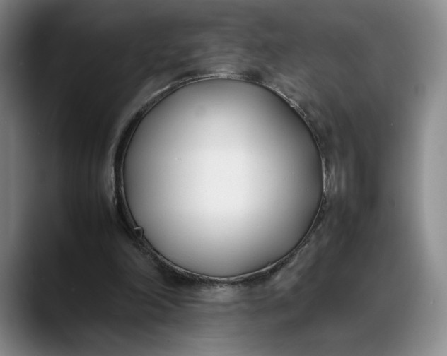 X0000088680198200706141400