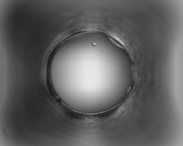 X0000088680199200706141400