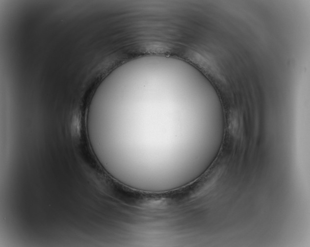 X0000088680206200706141400