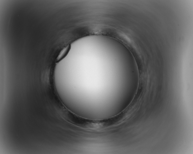 X0000088680217200706141400