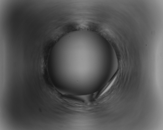 X0000088680223200706141400