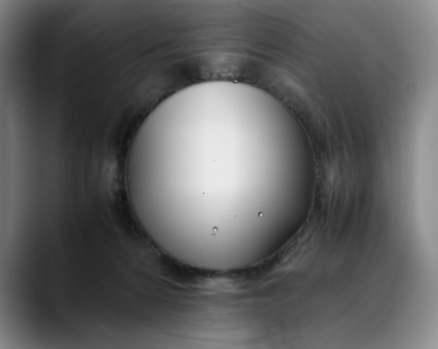 X0000088680224200706141400