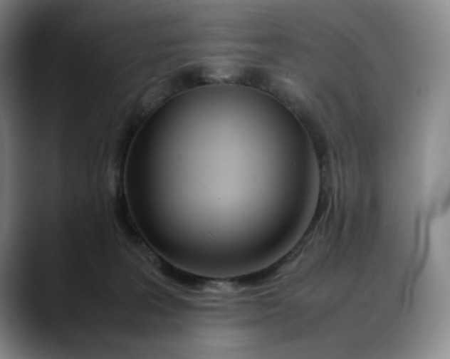 X0000088680227200706141400