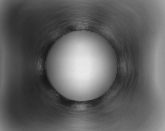 X0000088680228200706141400