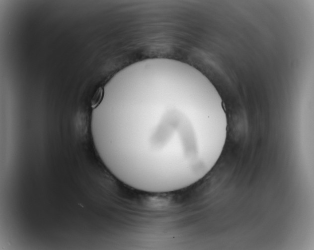 X0000088680232200706141400