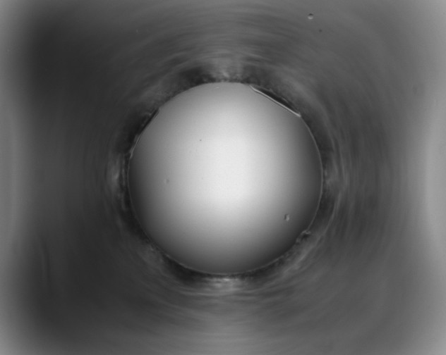 X0000088680233200706141400