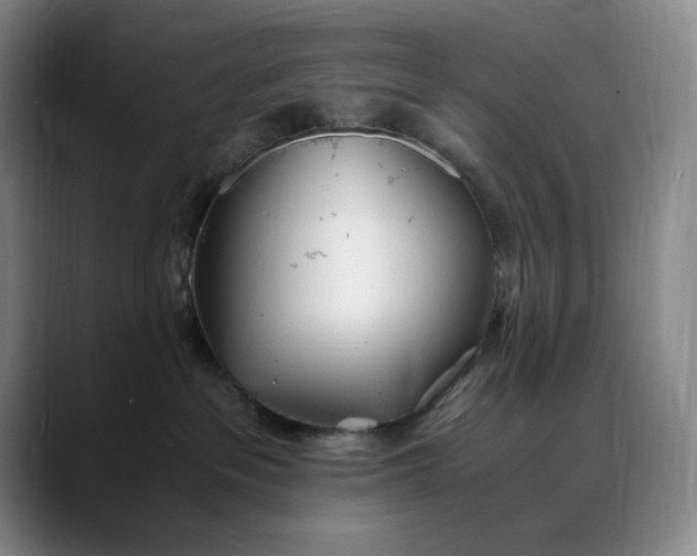 X0000088680237200706141400