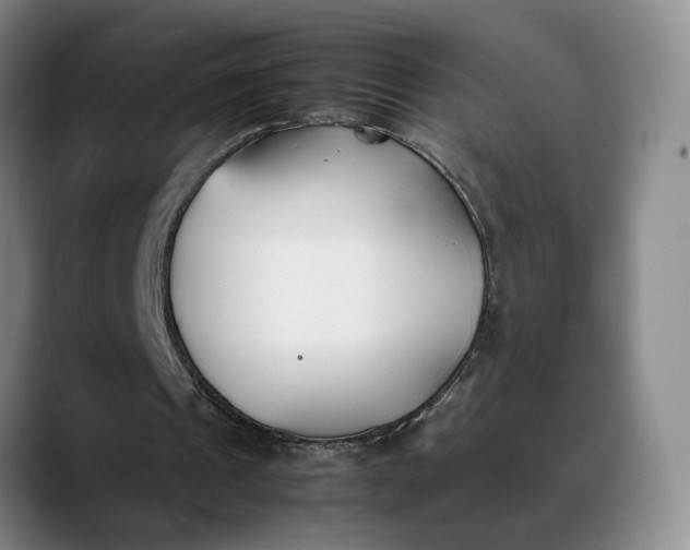 X0000088680241200706141359