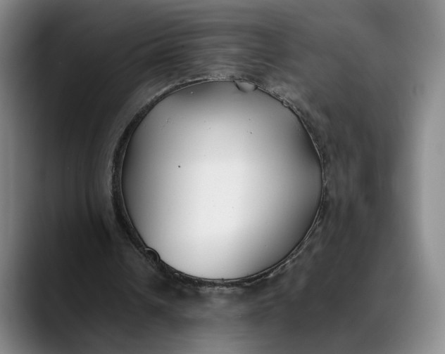 X0000088680242200706141359