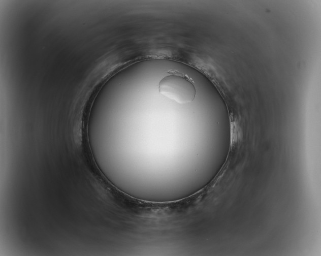 X0000088680243200706141359