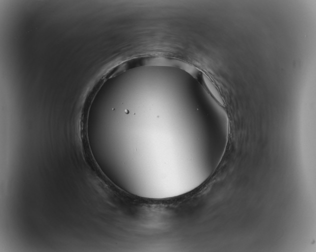 X0000088680244200706141359