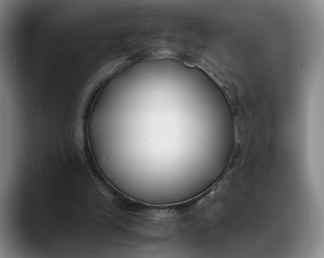 X0000088680245200706141359