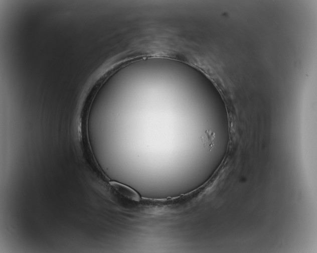 X0000088680246200706141359