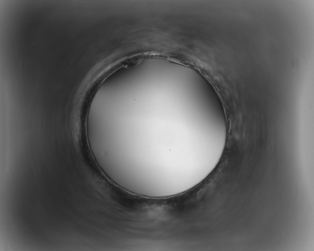 X0000088680247200706141359