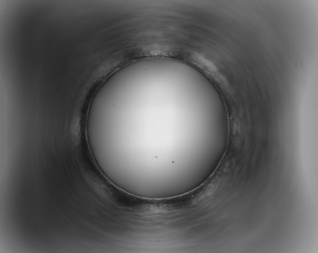 X0000088680250200706141359