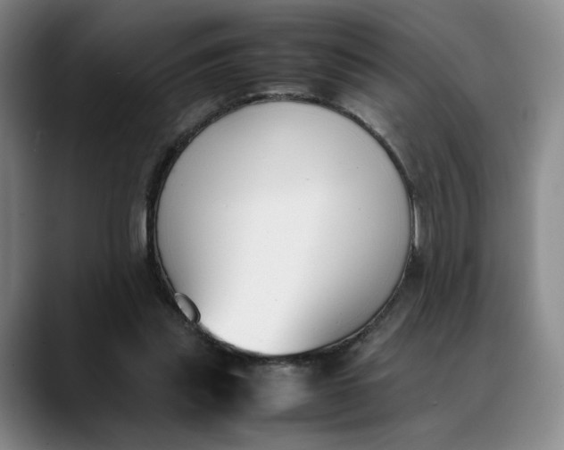 X0000088680253200706141359