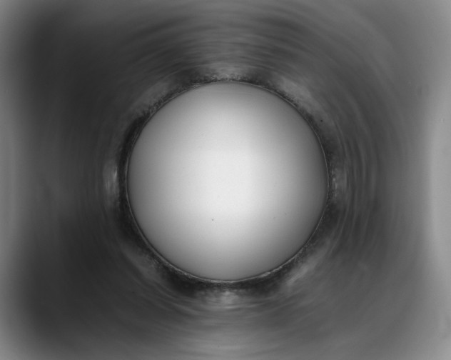 X0000088680254200706141359