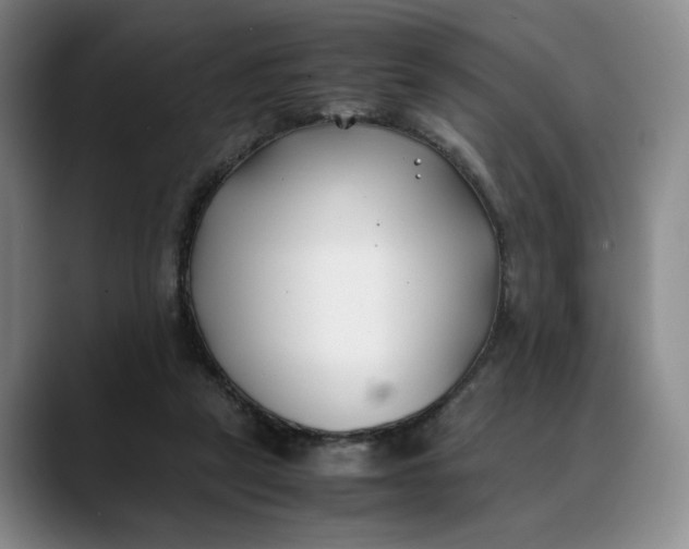 X0000088680257200706141359